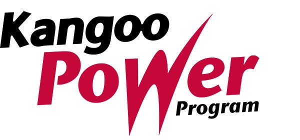Kangoo Power